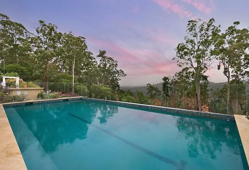 Hotelli Gold Coast Tree Houses