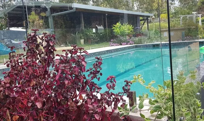 Hotelli Gold Coast Tree Houses