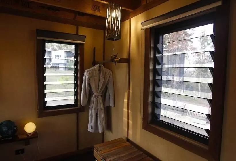 Hotelli Gold Coast Tree Houses