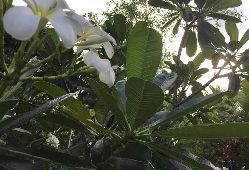 هتل Jardin De La Paix