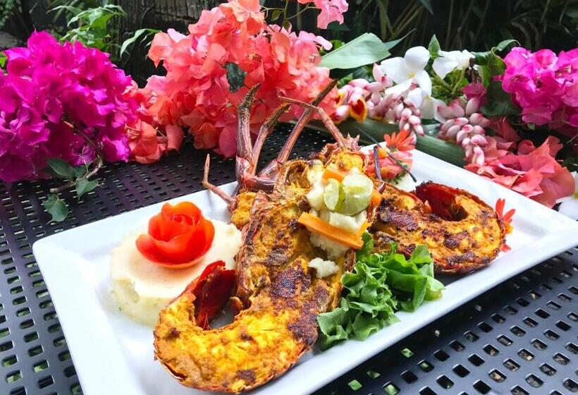 酒店 Jardin De La Paix