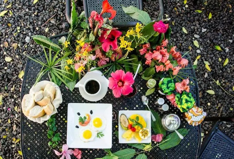 هتل Jardin De La Paix