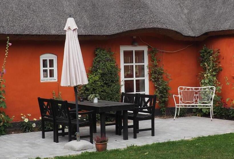 בית מלון כפרי Soegaardensbb