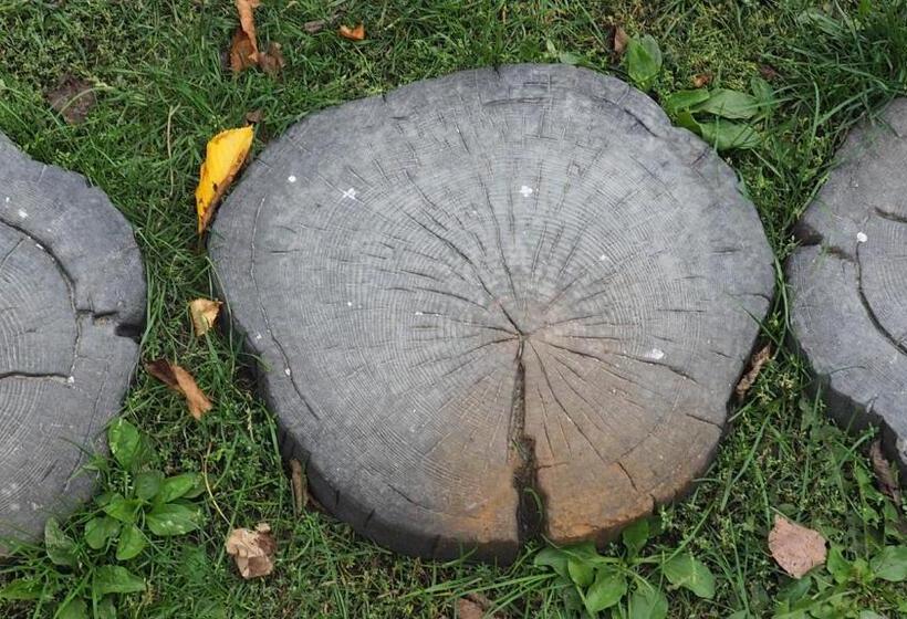 בית מלון כפרי Soegaardensbb