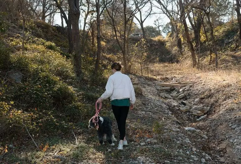 Hotelli Whitney Ridge Resort