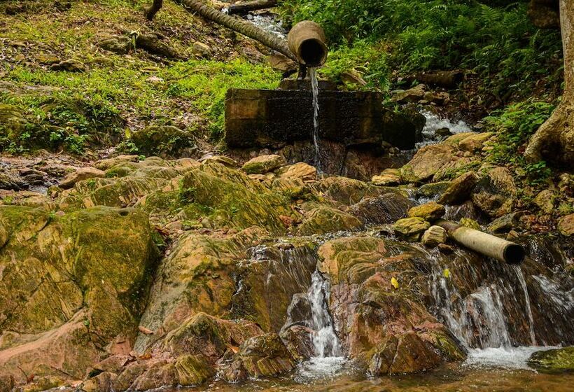 هتل Ikogosi Warm Springs Resort