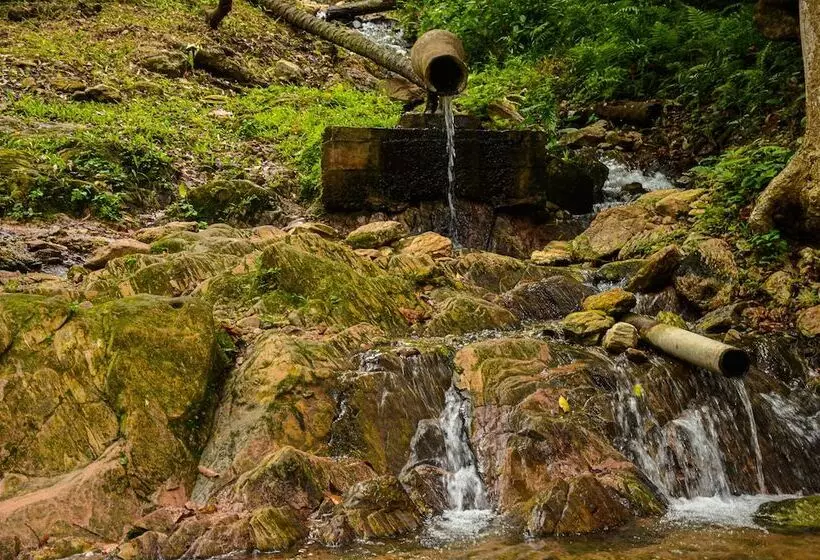 هتل Ikogosi Warm Springs Resort