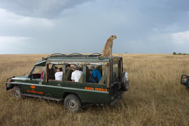 هتل Fig Tree Camp   Maasai Mara