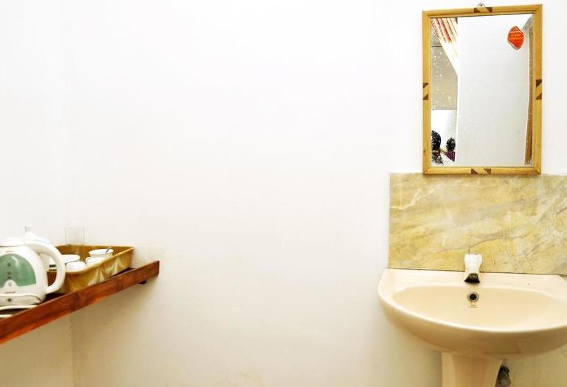 فندق Flamingo Mansion