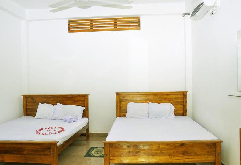 فندق Flamingo Mansion