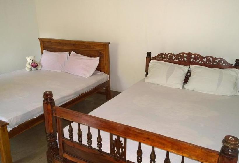 فندق Flamingo Mansion