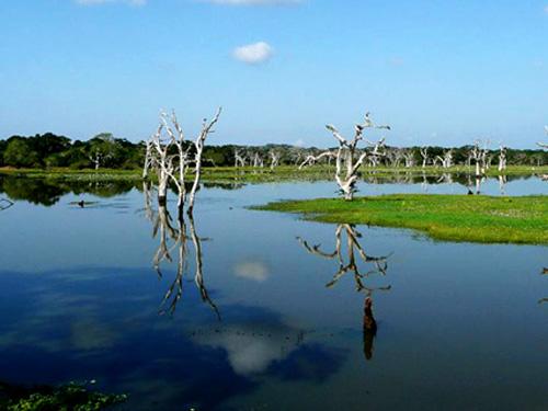 فندق Flamingo Mansion