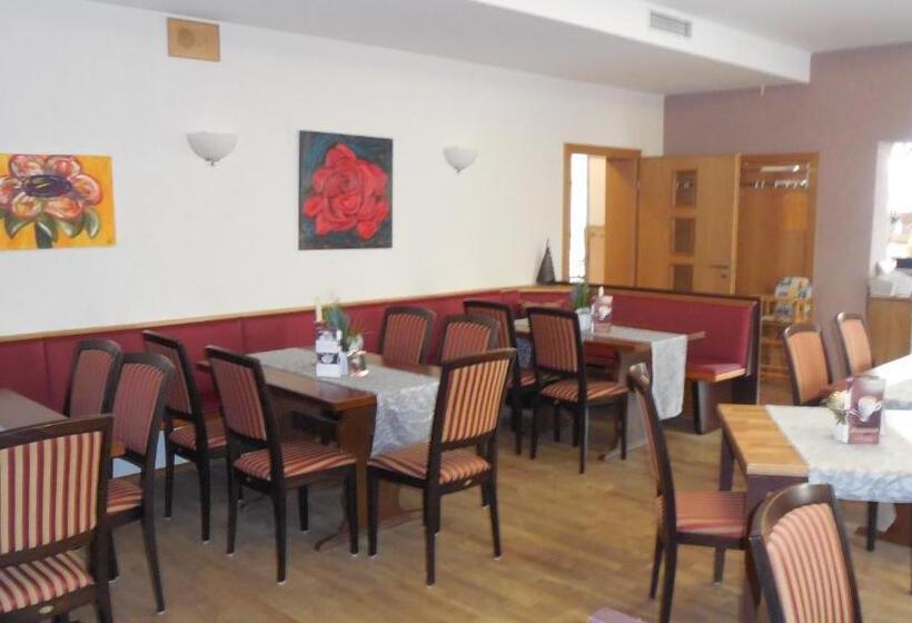 ホテル Gasthof Wilder Mann