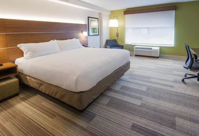ホテル Holiday Inn Express Gatlinburg Downtown, An Ihg