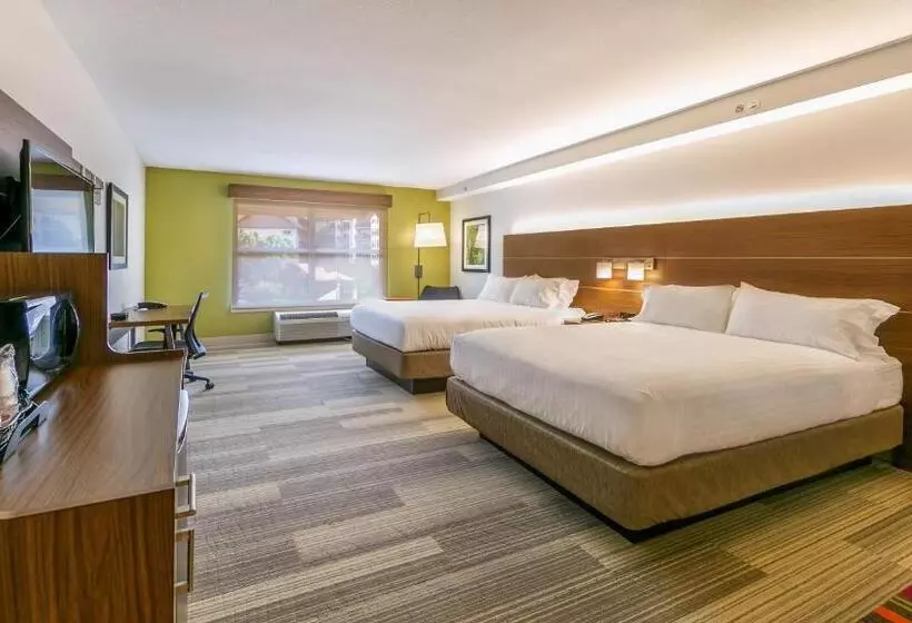 ホテル Holiday Inn Express Gatlinburg Downtown, An Ihg