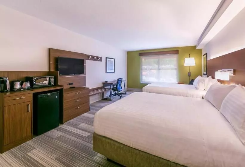 ホテル Holiday Inn Express Gatlinburg Downtown, An Ihg