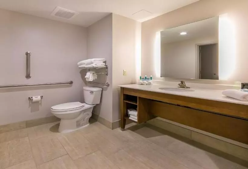 ホテル Holiday Inn Express Gatlinburg Downtown, An Ihg