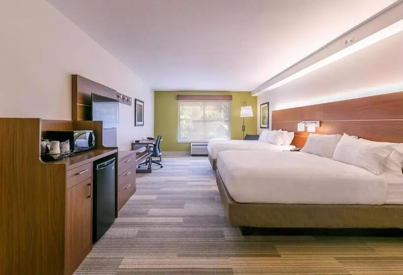 ホテル Holiday Inn Express Gatlinburg Downtown, An Ihg