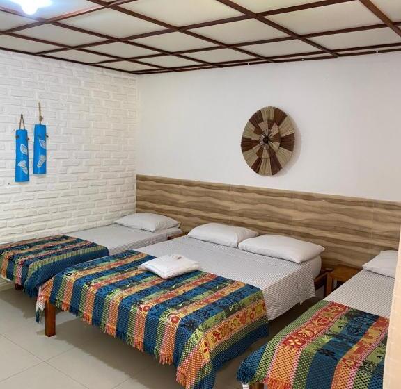 Отель Pousada Das Gaivotas