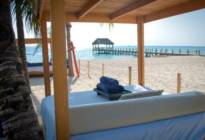 Отель Residences at The Fives