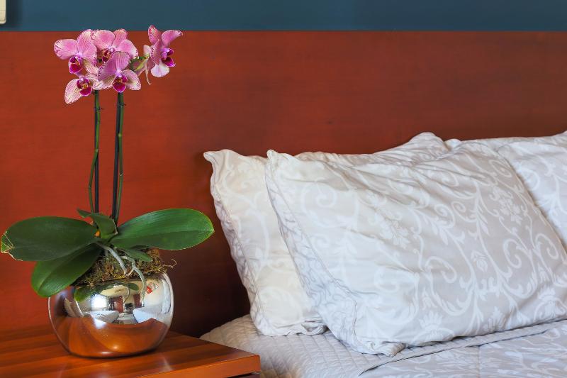 Fotos del hotel Suites Villa Italia:  12