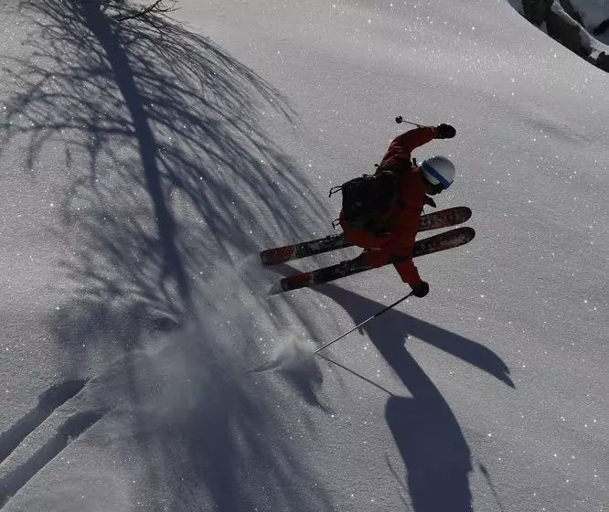 Appartement Les Mélèzes