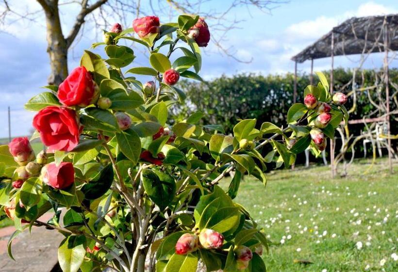 ベッドアンドブレックファースト Podere Lornanino