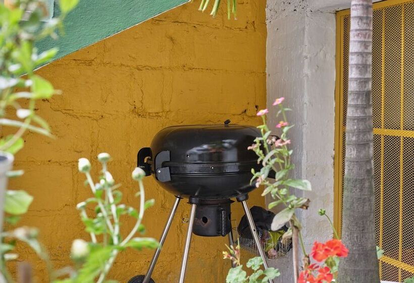 هتل Botanica Casa