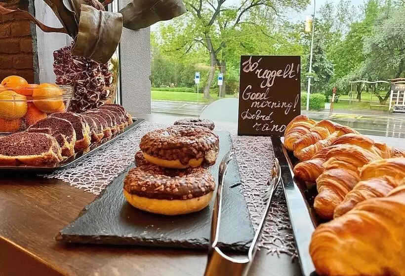 هتل Europa Komárno