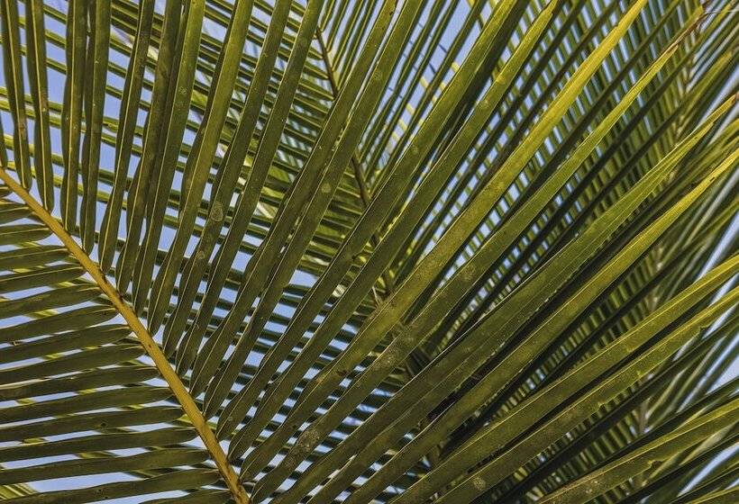 فندق Ka Bru 1100 Boutique