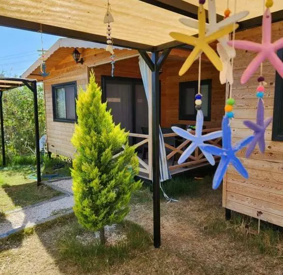 Sea Garden Apart