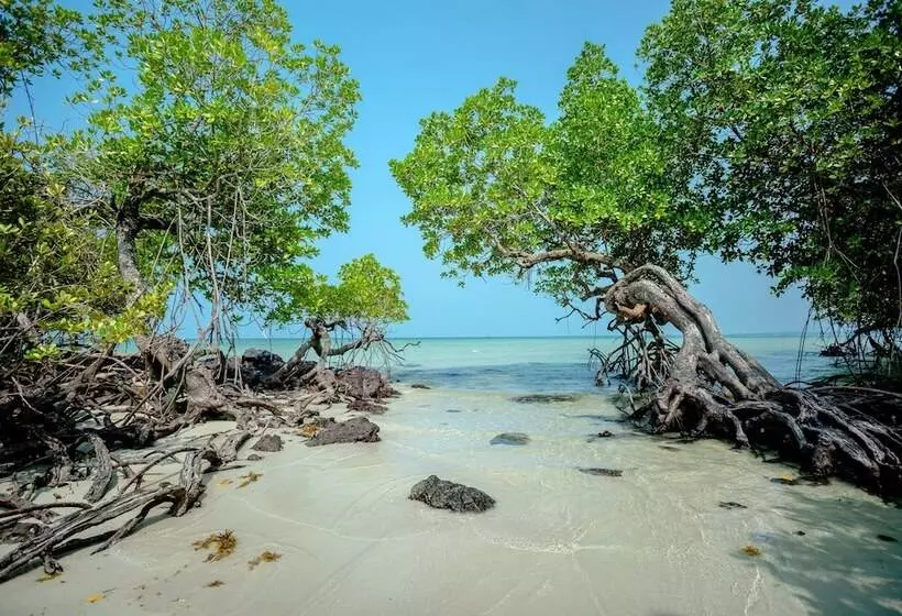 Bintan Exotica Resort By Waringin Hospitality