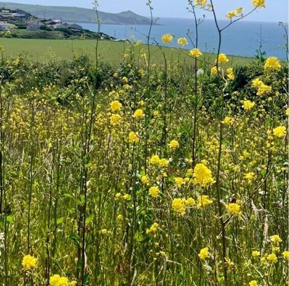 Rame  2 Bedroom Safari Cabin Tent