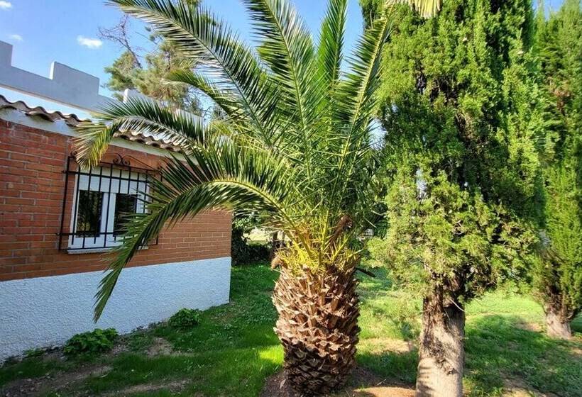 Общежитие Hostal San Martin De Montalbán