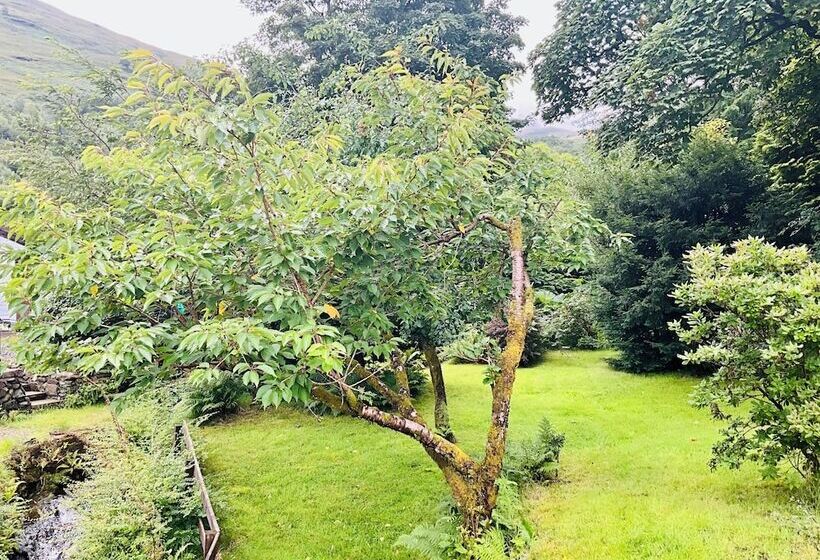 Bed and Breakfast G83 7ab