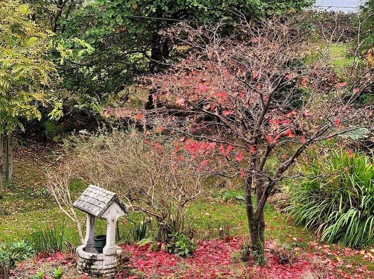 Bed and Breakfast G83 7ab