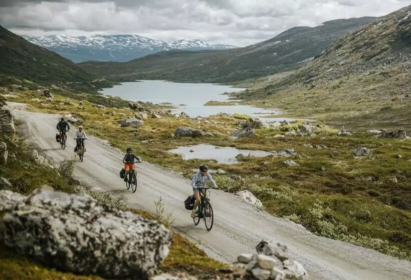 ベッドアンドブレックファースト Reinheimen Lodge