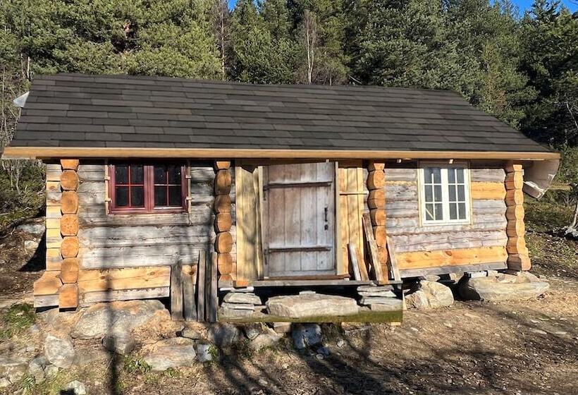 Bed and Breakfast Reinheimen Lodge