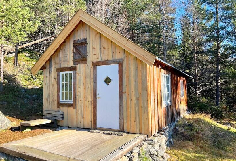 Bed and Breakfast Reinheimen Lodge