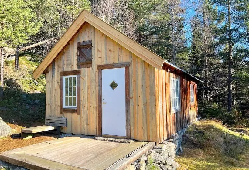 ベッドアンドブレックファースト Reinheimen Lodge