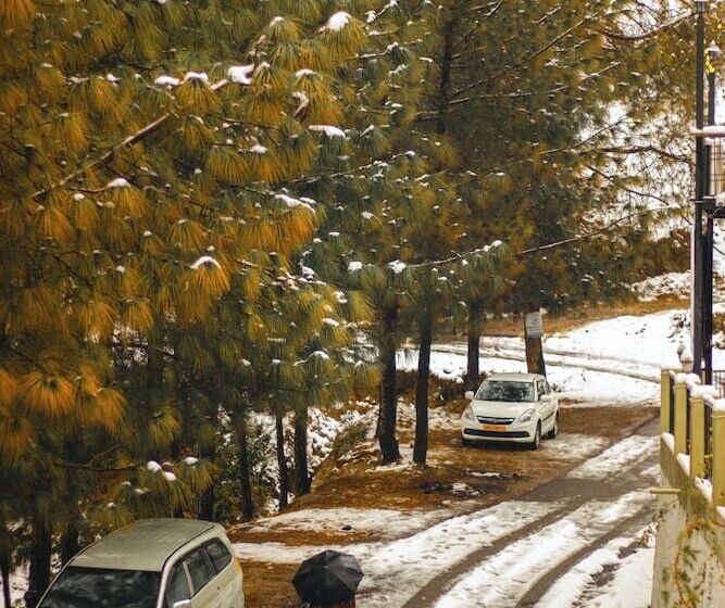 Bed and Breakfast The Himalayan Living Whistling Pines