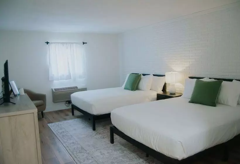 ホテル Bradford Guest House   The B