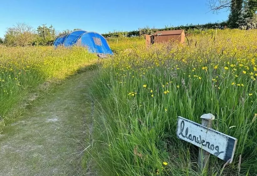 Hotelli Frowen Fields