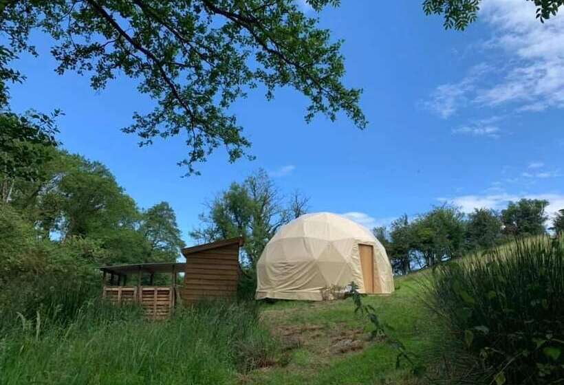 ホテル Frowen Fields