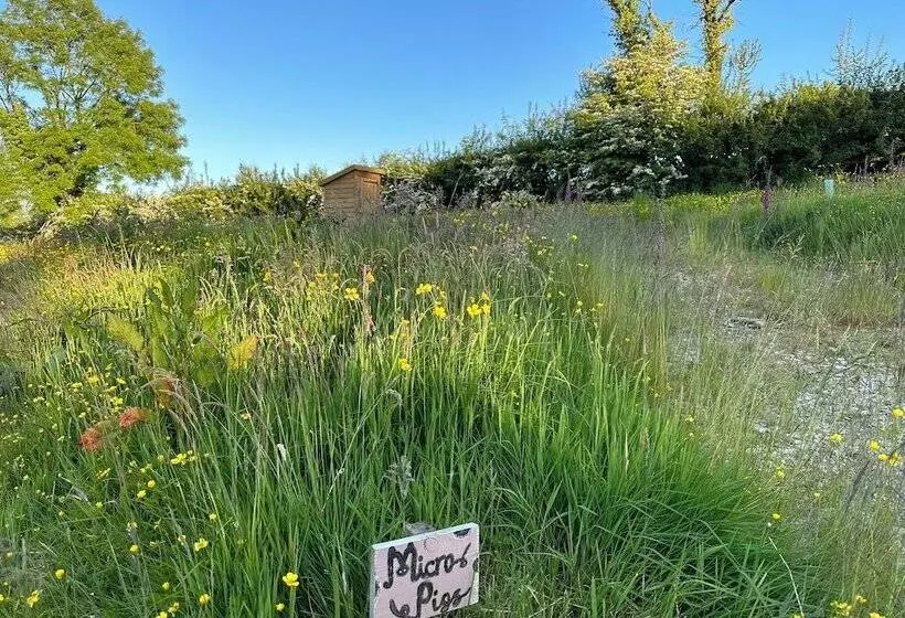 Hotelli Frowen Fields