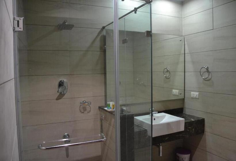 Отель Shrinath Palace