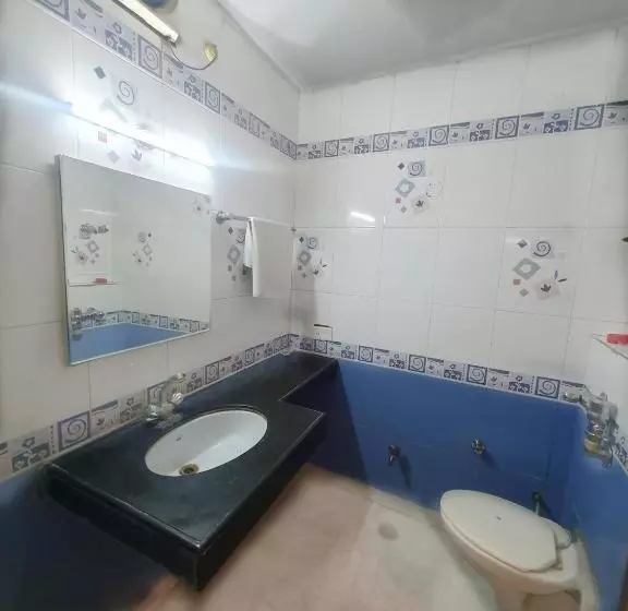 Hotelli Shrinath Palace