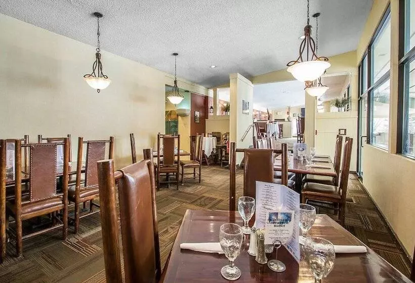 Lomakeskus Christmas Mountain Campground