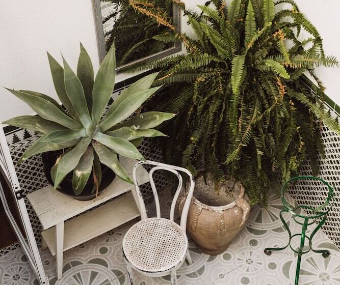 ベッドアンドブレックファースト Encanto Guesthouse