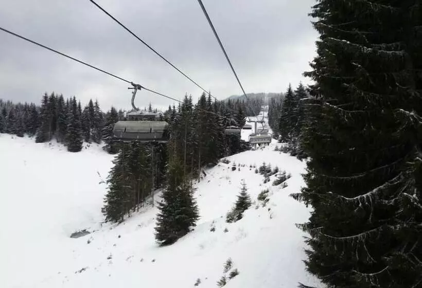 Bed and Breakfast Kris